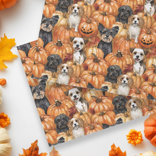 Herbst-Hunde auf einem Kürbisfeld Halloween Seidenpapier