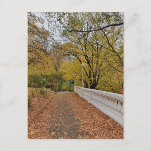 Herbst im alten Park. Postkarte