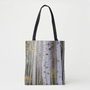 Herbst im Aspen