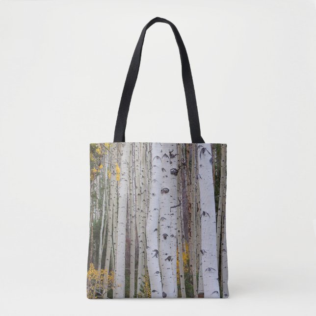 Herbst im Aspen (Vorderseite)