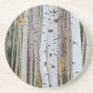 Herbst im Aspen Untersetzer