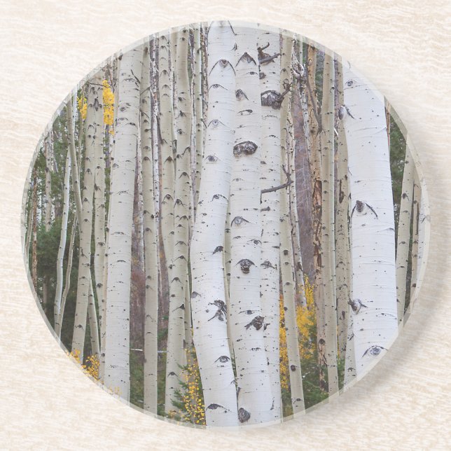 Herbst im Aspen Untersetzer (Vorne)