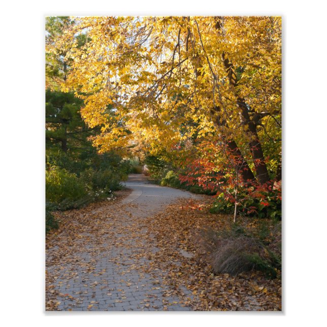 Herbst im botanischen Garten in Madison Fotodruck (Vorne)