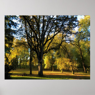 Herbst im Champoeg Staat Park, OR Poster