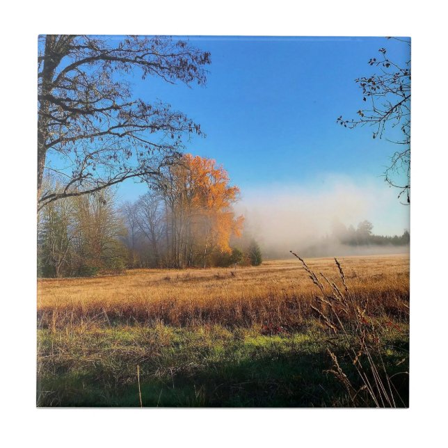 Herbst im Champoeg Staat Park, Oregon Poster Fliese (Vorderseite)