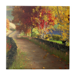 Herbst im Glen Dekoratives Kachel / Untersetzer