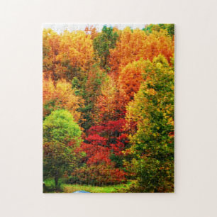HERBST IM NEW- YORKStaats-Puzzlespiel Puzzle