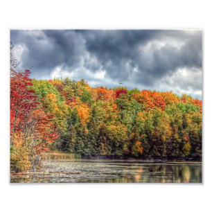 Herbst im Nordwald Fotodruck