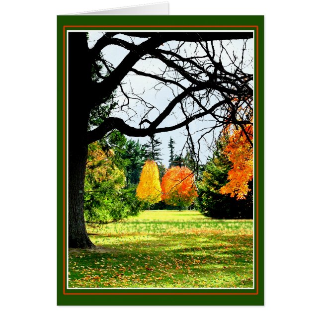 Herbst im Park (Vorne)