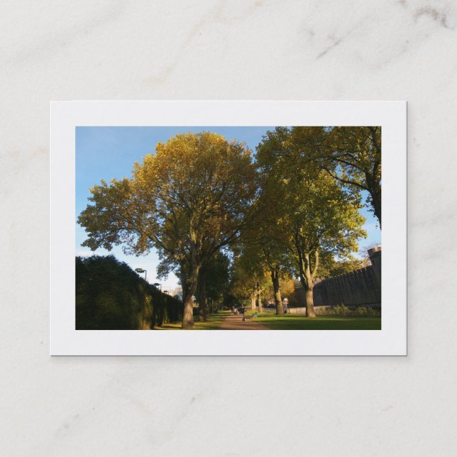 Herbst im Park (grenzt) Visitenkarte (Vorderseite)