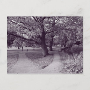 Herbst im Park - Lila Toned BW Postkarte