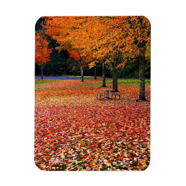 Herbst im Park Magnet (Vertikal)