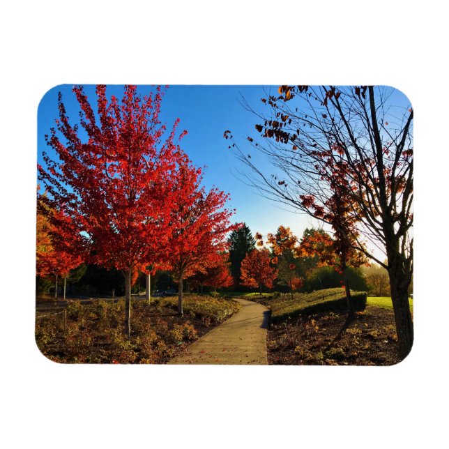 Herbst im Park, Oregon Magnet (Horizontal)