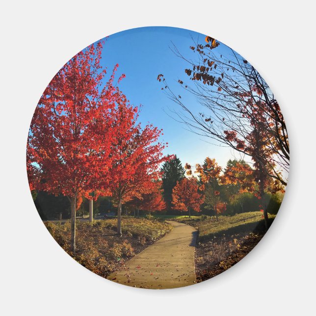 Herbst im Park, Oregon Magnet (Vorne)