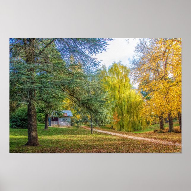 Herbst im Park Poster (Vorne)