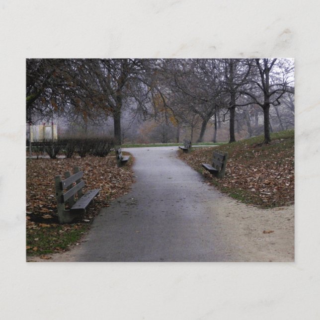 Herbst im Park Postkarte (Vorderseite)