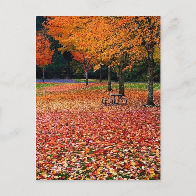 Herbst im Park Postkarte (Vorderseite)