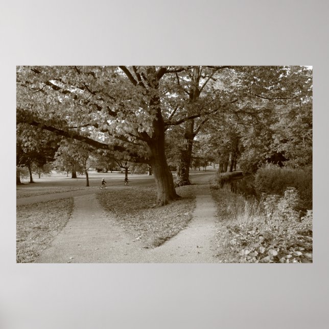 Herbst im Park - Sepia Toned BW Poster (Vorne)