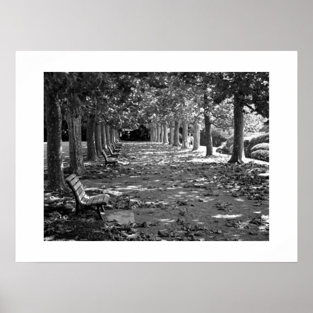 Herbst im Park: Tokio Poster (Vorne)