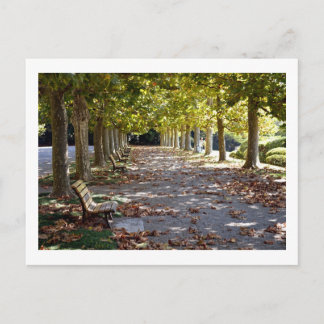Herbst im Park: Tokio Postkarte