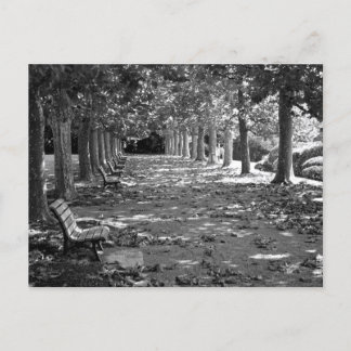 Herbst im Park: Tokio Postkarte