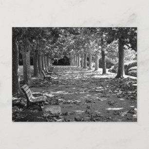 Herbst im Park: Tokio Postkarte