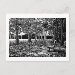 Herbst im Park: Tokio Postkarte