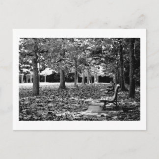 Herbst im Park: Tokio Postkarte