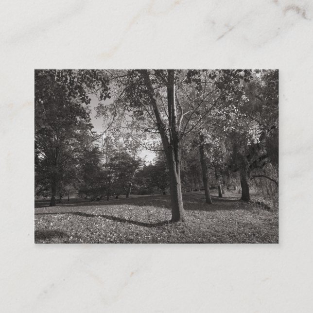 Herbst im Park Visitenkarte (Vorderseite)