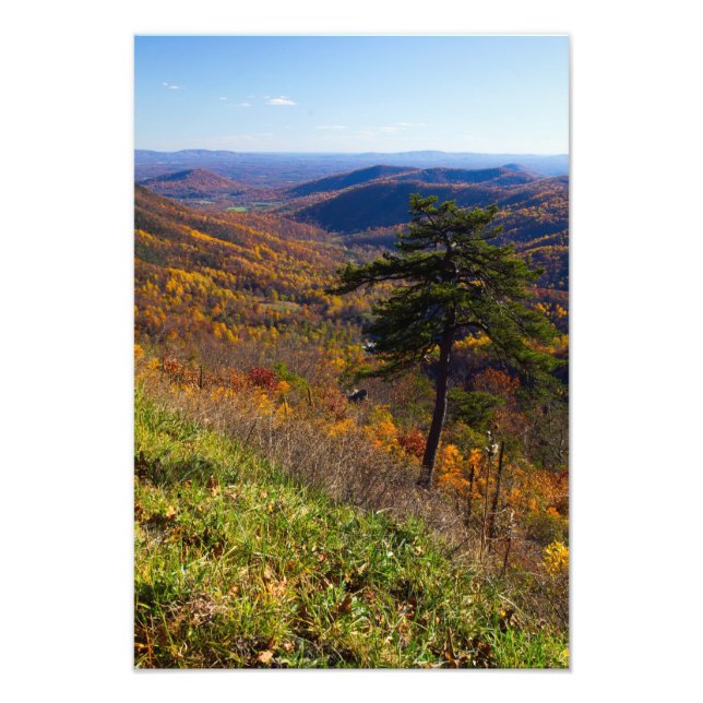 Herbst im Shenandoah-Nationalpark, Virginia Fotodruck (Vorne)