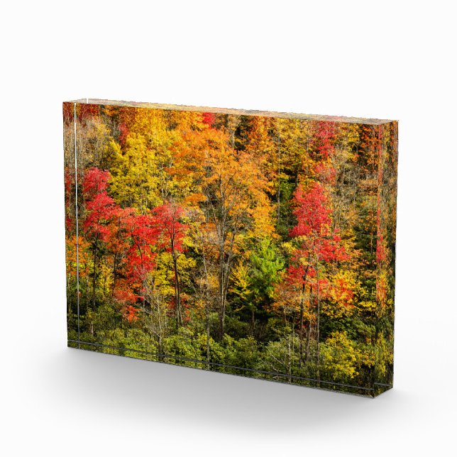 Herbst im Sims Pond North Carolina, Blue Ridge Fotoblock (Rechts)