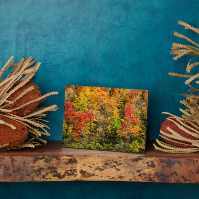 Herbst im Sims Pond North Carolina, Blue Ridge Fotoplatte (Seite)