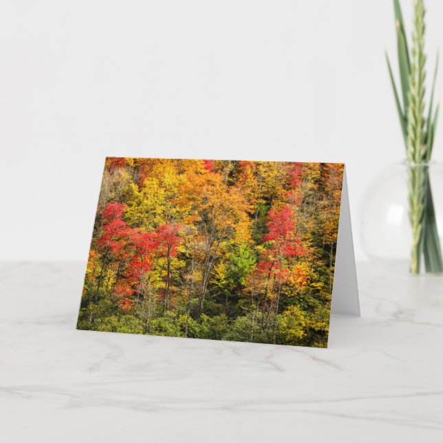 Herbst im Sims Pond North Carolina, Blue Ridge Karte (Vorderseite)