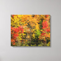 Herbst im Sims Pond North Carolina, Blue Ridge