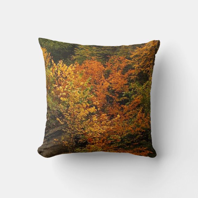 Herbst im Treman Staat Park Kissen (Vorderseite)