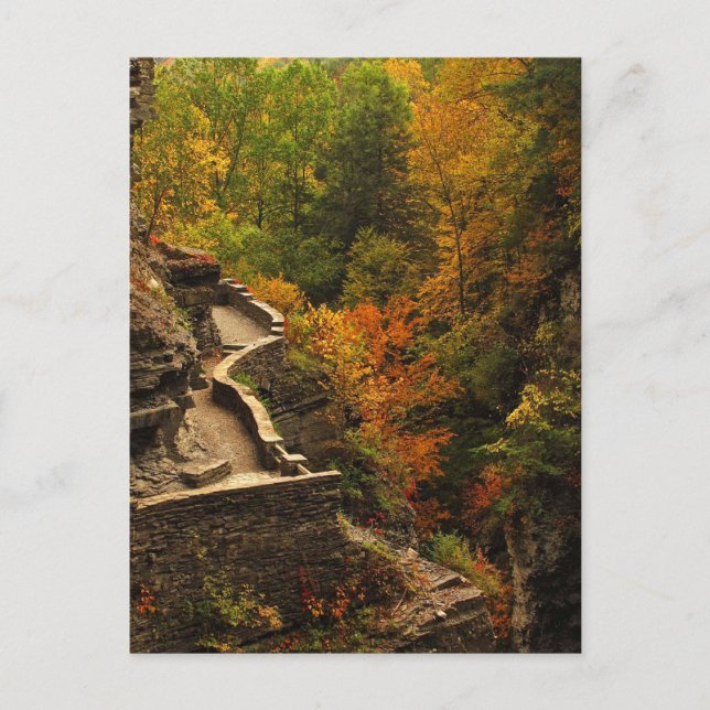 Herbst im Treman Staat Park Postkarte (Vorderseite)