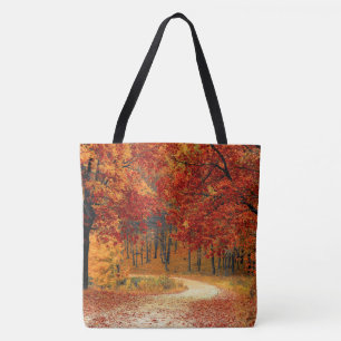 Herbst im Wald