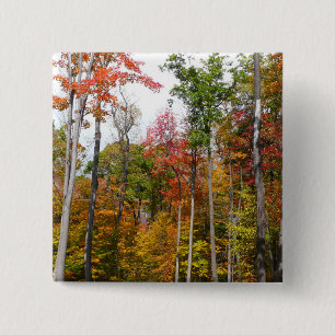 Herbst im Wald Farbige Herbstfotografie Button
