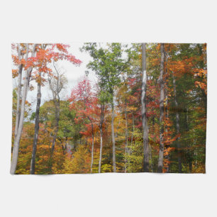 Herbst im Wald Farbige Herbstfotografie Geschirrtuch
