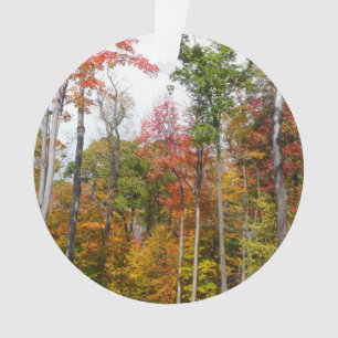 Herbst im Wald Farbige Herbstfotografie Ornament
