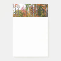 Herbst im Wald Farbige Herbstfotografie