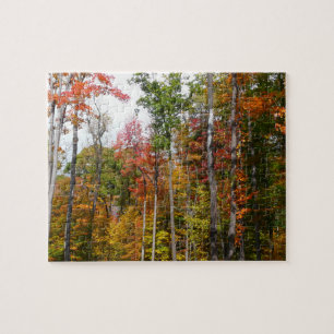 Herbst im Wald Farbige Herbstfotografie Puzzle