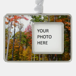 Herbst im Wald Farbige Herbstfotografie Rahmen-Ornament Silber