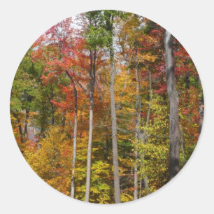 Herbst im Wald Farbige Herbstfotografie Runder Aufkleber
