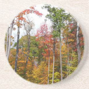 Herbst im Wald Farbige Herbstfotografie Sandstein Untersetzer