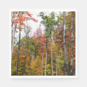 Herbst im Wald Farbige Herbstfotografie Serviette