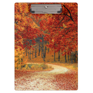 Herbst im Wald Klemmbrett