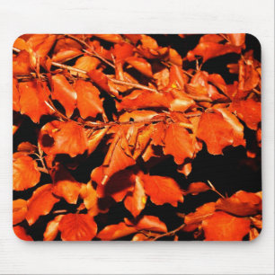 Herbst im Wald Mousepad