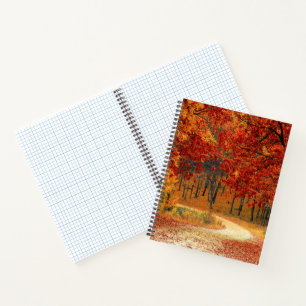 Herbst im Wald Notizbuch