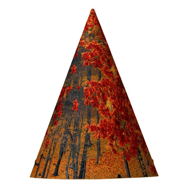 Herbst im Wald Partyhütchen (Vorderseite)